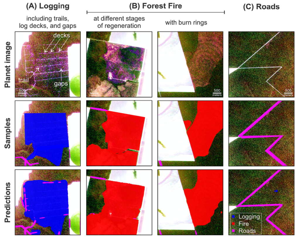 Mapping tropical forest degradation with deep learning and Planet NICFI data