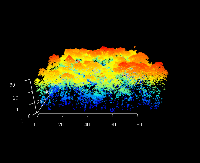 Rotating visualization of forest structure
