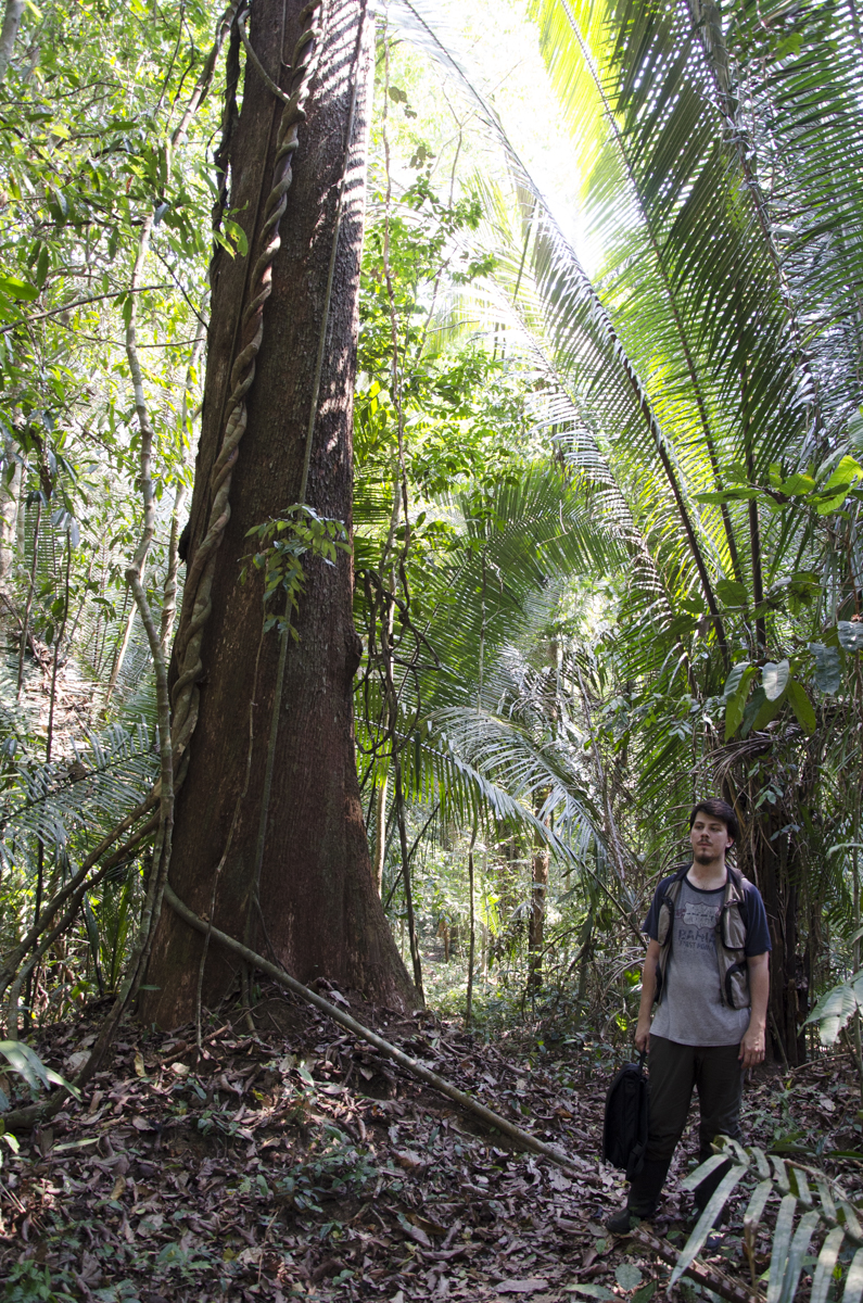 Ricardo Dalagnol during fieldwork in Jaru, Brazil