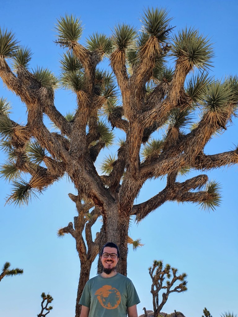 Joshua Tree National Park in the Mojave Desert